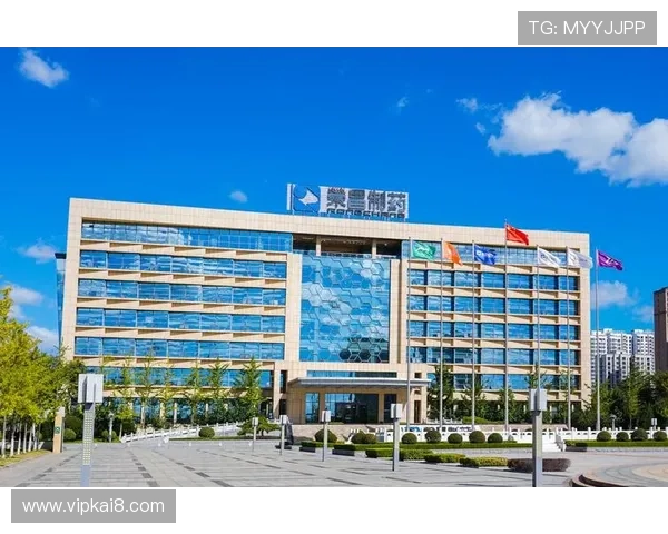 K8凯发国际官网的客户服务与技术支持体系全方位解读保障玩家权益 K8凯发国际官网的客户服务与技术支持体系全方位解读保障玩家权益