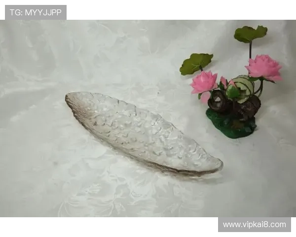 凯发体育官网平台网址导航大全，提供多种便捷登录入口和最新网址信息